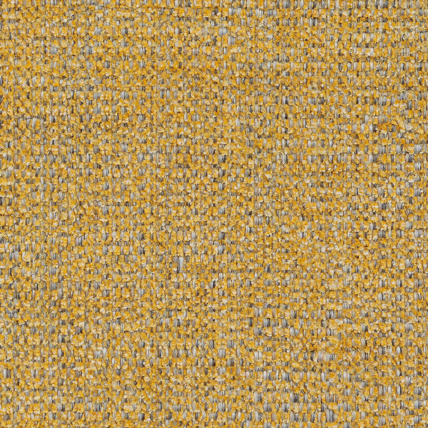 UP9538